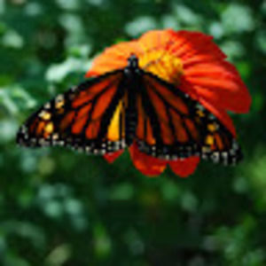 Meet your Posher, Peverley